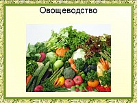 Овощеводство важная отрасль