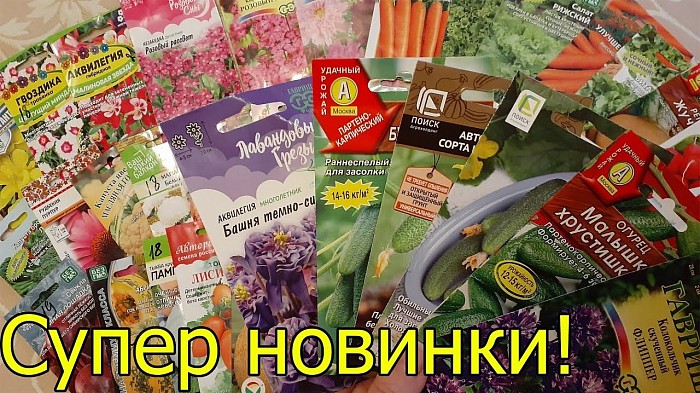 Все ведущие производители семян овощных и цветочных культур